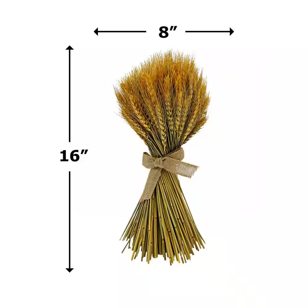 Preserved Decorative Wheat