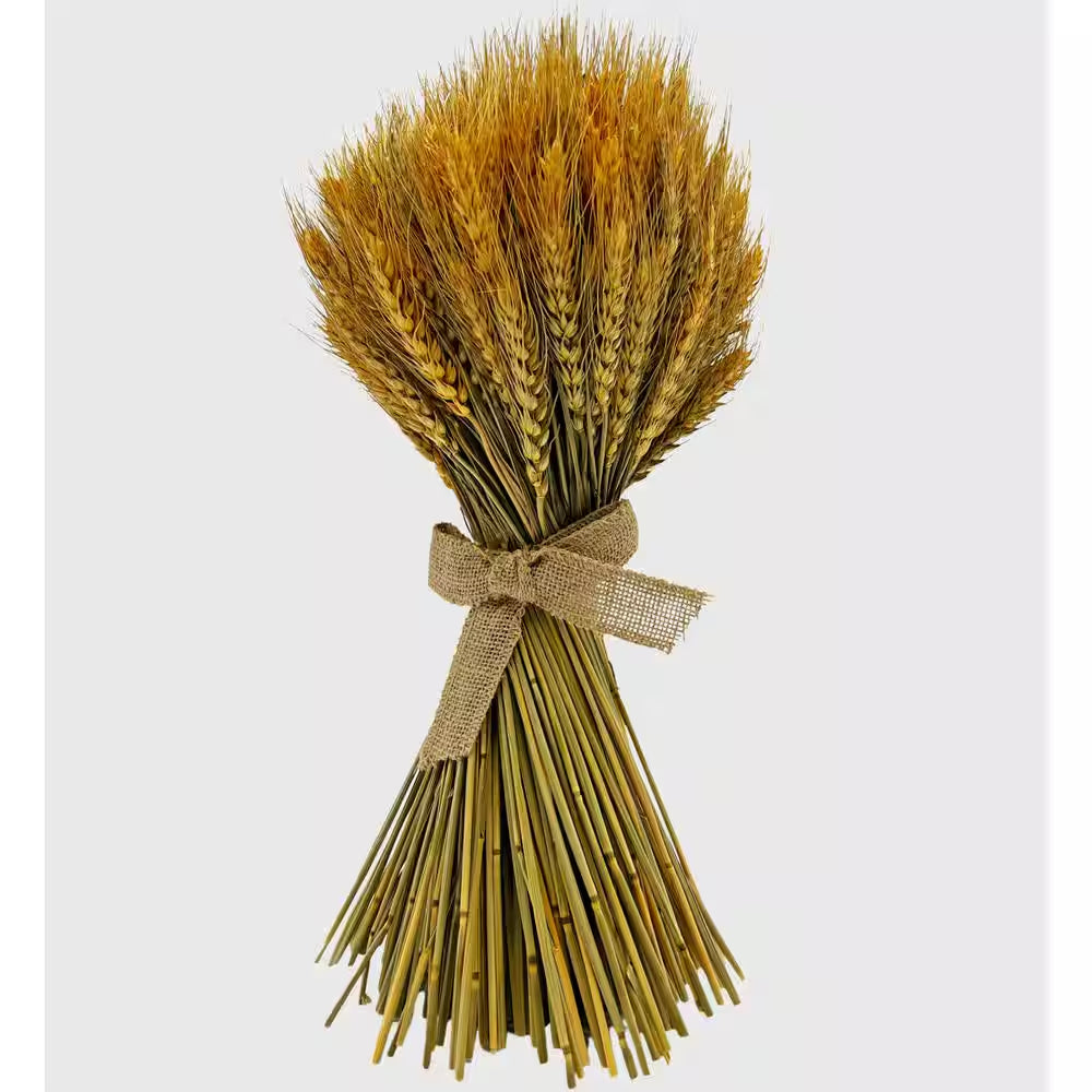Preserved Decorative Wheat