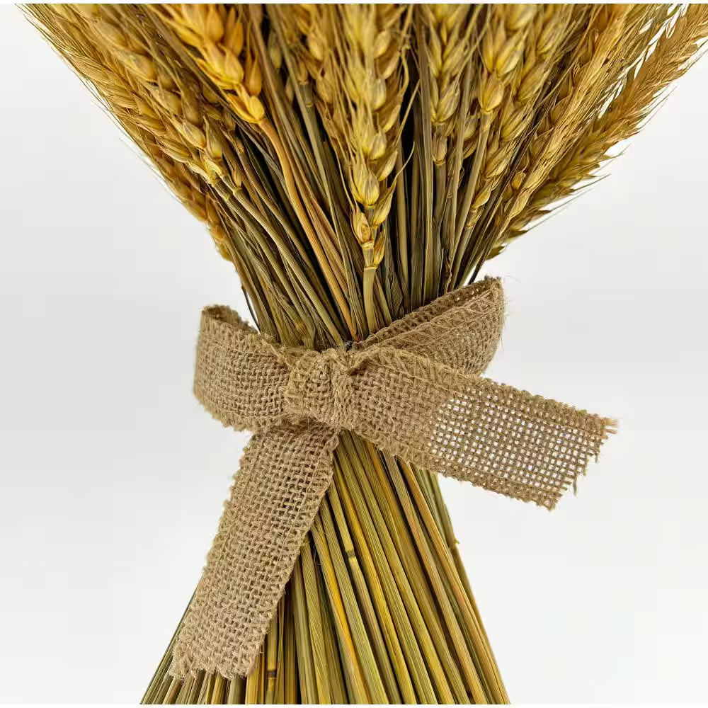 Preserved Decorative Wheat